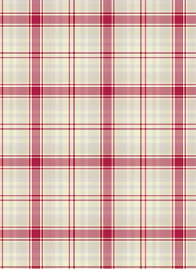 Camisas Afrodita. Fabricamos camisas para las mejores tiendas de autoservicio.